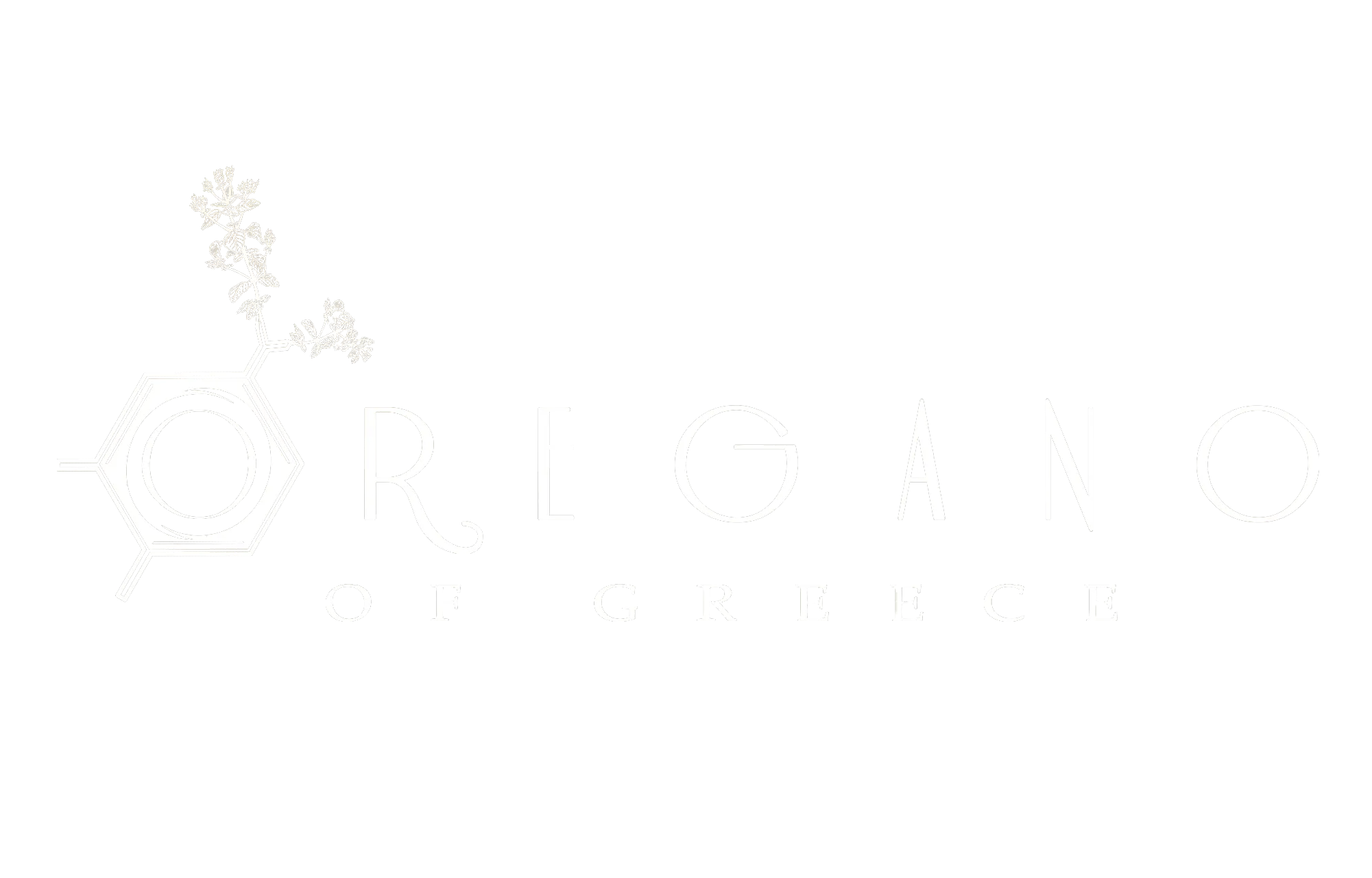 Oregano Of Greece